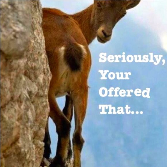 Poshmark Humor - Picture 2 of 10